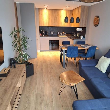 Komfortowy Apartament Dla 7 Osob Ch Arena, Prywatny Parking غليفيتسه المظهر الخارجي الصورة